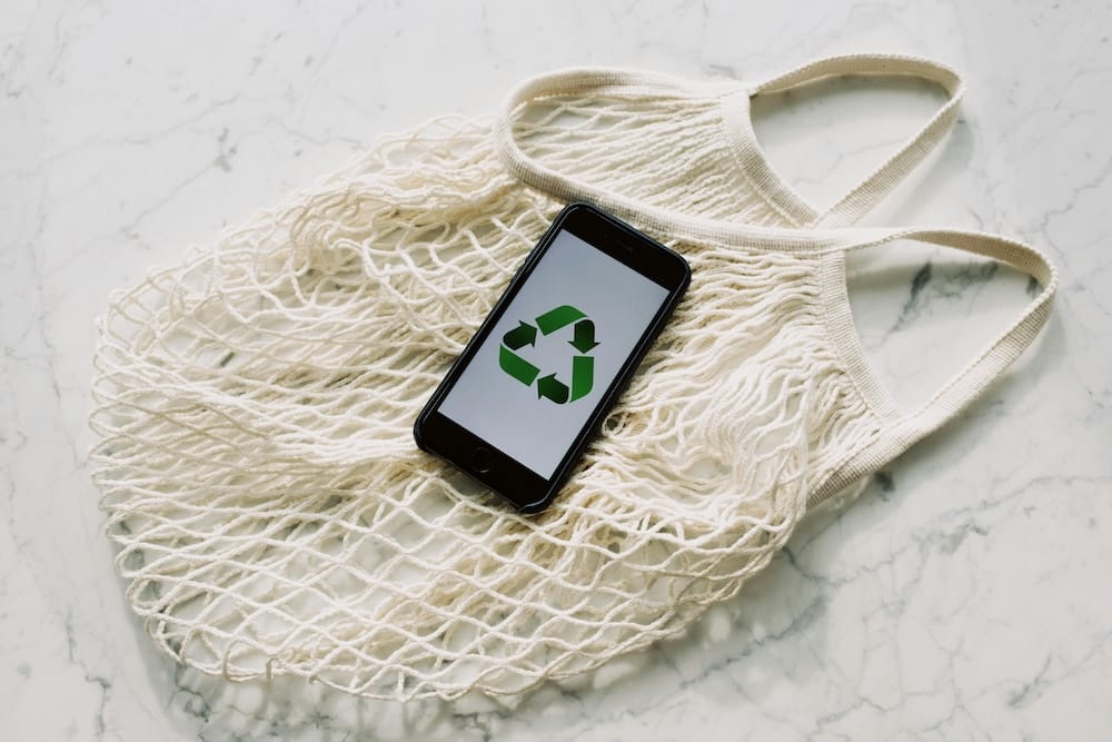 ¿Qué es el marketing verde y por qué es importante?